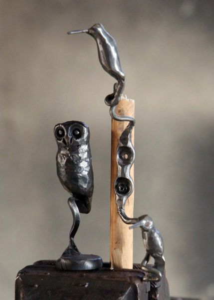 owl