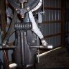 modified 50 lb. little giant linkage