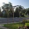 arbor