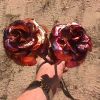 Copper Roses
