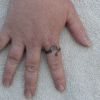 seahorse ring