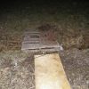 Picture_0373