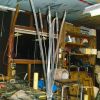bull rushes 1