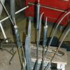 bull rushes 4