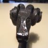 rams head front view