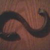 My First S-Hook