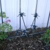 Trellis 2