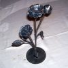 New Roses