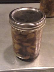 Jar of Garlic
