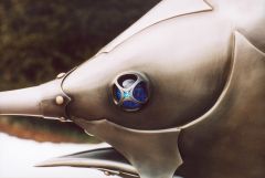 swordfish detail