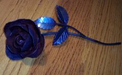 2nd Iron rose