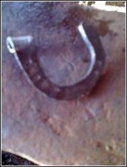 horseshoe keychain