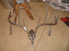 Steel Deer Skull
