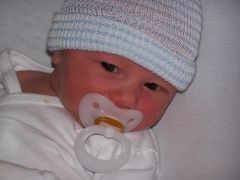 Waylon Vernon