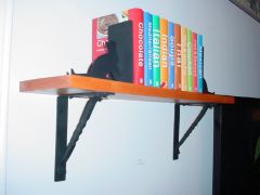 Cat Shelf