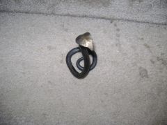 Snake