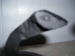 DSCN04101