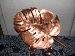Monstera Leaf