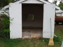 IMG1