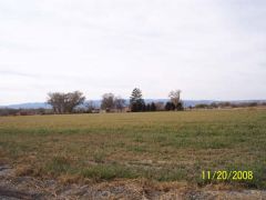Miller_Farm_031