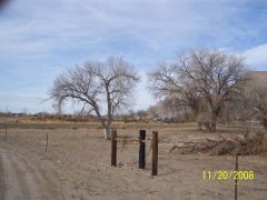 Miller_Farm_047