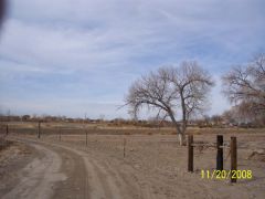 Miller_Farm_048