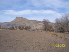 Miller_Farm_049