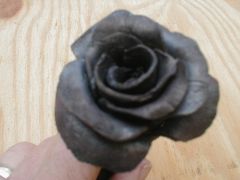 My second rose