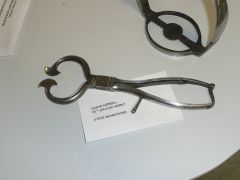 P10103301