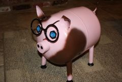 Pig with glasses