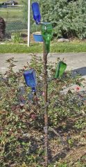 BOTTLE TREE