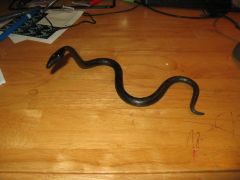 Picture_0011