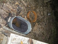 Picture_0282