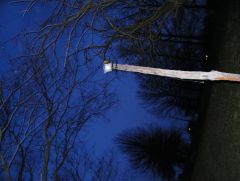 Picture_0292