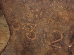 Picture_158