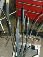 bull rushes 4
