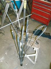 bull rushes 5