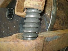 Screw
