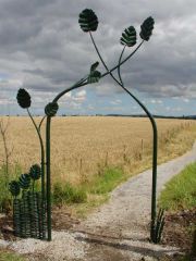 Archway for Tees Valley Wildlife