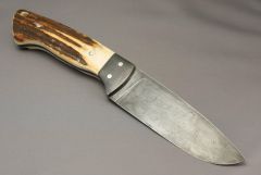 Stag Damascus Hunter