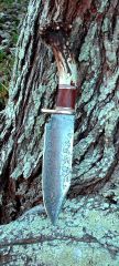 Stag_and_Cocobolo_Damascus_Fighter_II