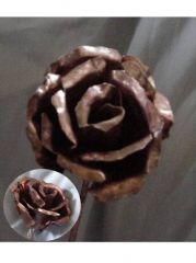 Copper Rose
