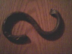 My First S-Hook