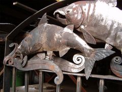 Spawning Salmon