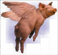 When Pigs Can Fly