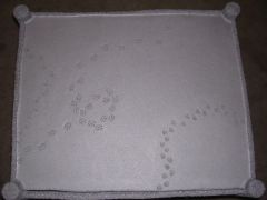 top view of end table w/ animal tracks
