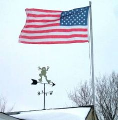 The Dancing Frog and Old Glory