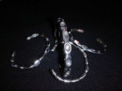 Picture_0661