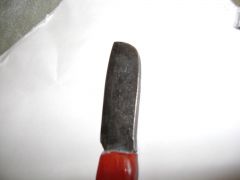 DSC003252