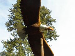 Eagles Libby Montana 2002